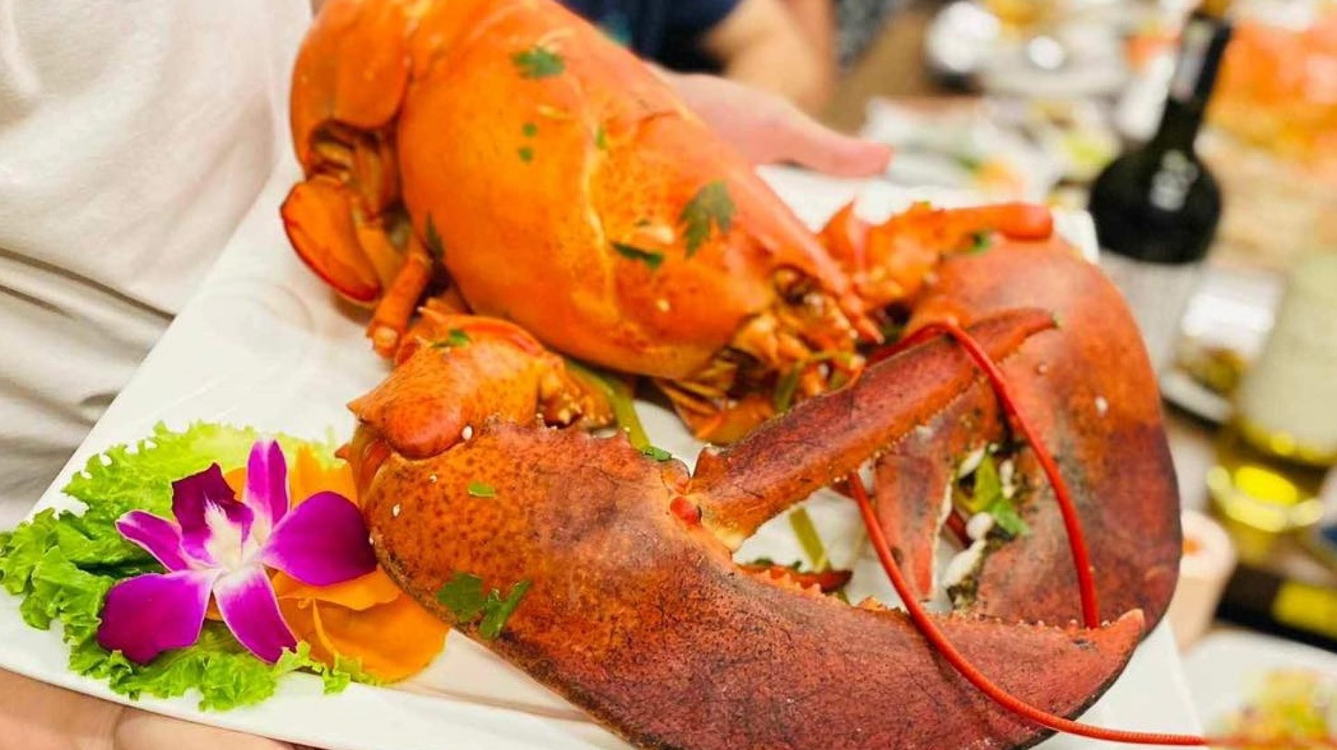 Seafood hanoi fresh seafood wholesale gifts shipping